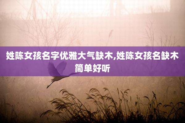 姓陈女孩名字优雅大气缺木,姓陈女孩名缺木简单好听
