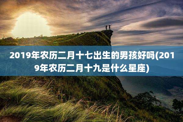 2019年农历二月十七出生的男孩好吗(2019年农历二月十九是什么星座)
