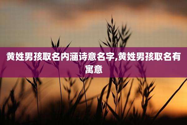 黄姓男孩取名内涵诗意名字,黄姓男孩取名有寓意