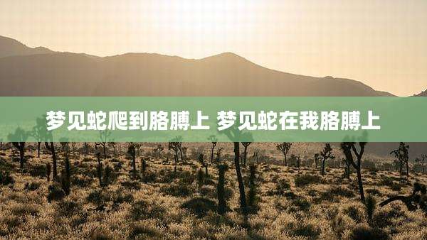 梦见蛇爬到胳膊上 梦见蛇在我胳膊上