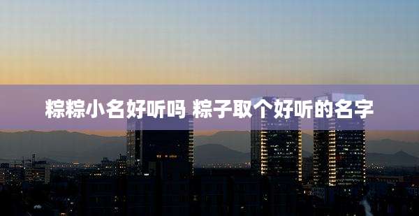 粽粽小名好听吗 粽子取个好听的名字