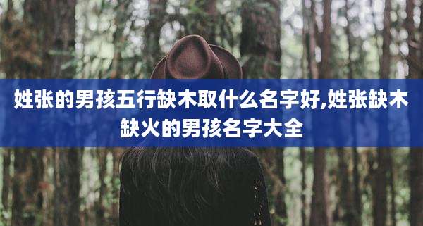 姓张的男孩五行缺木取什么名字好,姓张缺木缺火的男孩名字大全