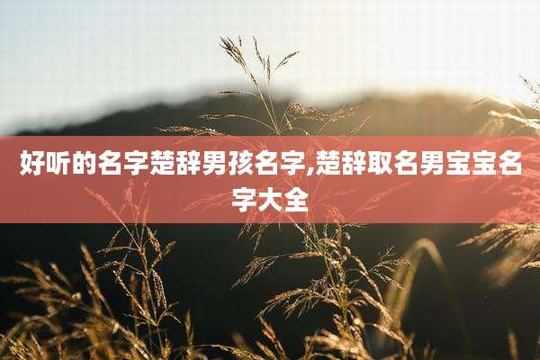 好听的名字楚辞男孩名字,楚辞取名男宝宝名字大全
