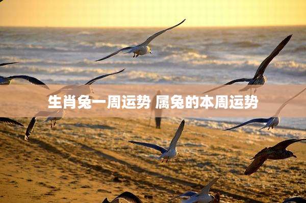生肖兔一周运势 属兔的本周运势