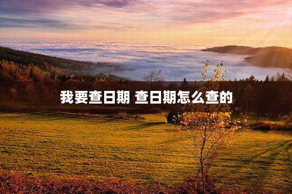 我要查日期 查日期怎么查的