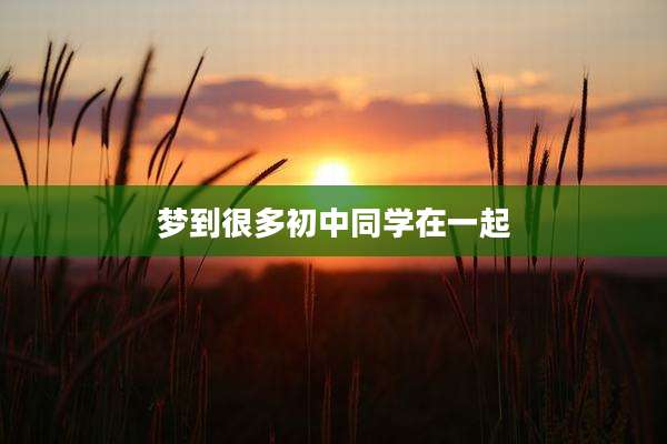 梦到很多初中同学在一起