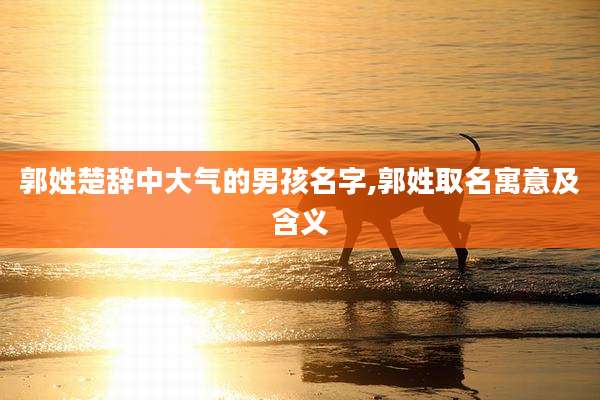 郭姓楚辞中大气的男孩名字,郭姓取名寓意及含义