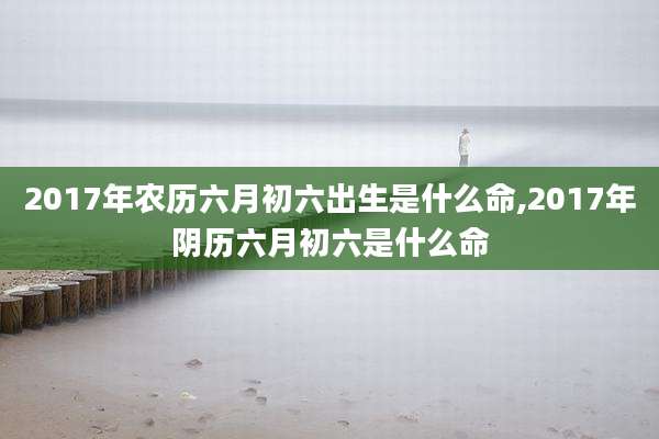 2017年农历六月初六出生是什么命,2017年阴历六月初六是什么命