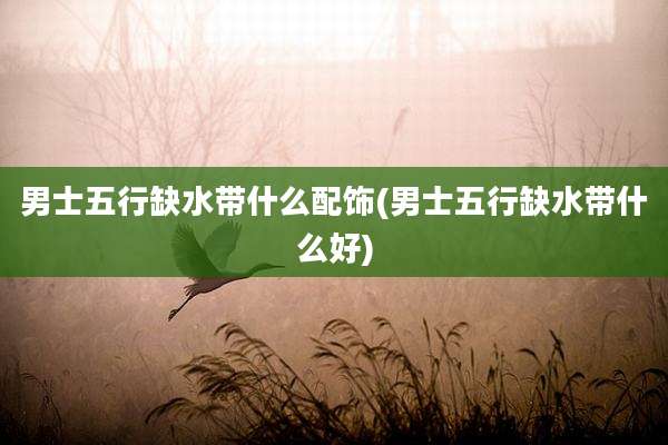 男士五行缺水带什么配饰(男士五行缺水带什么好)