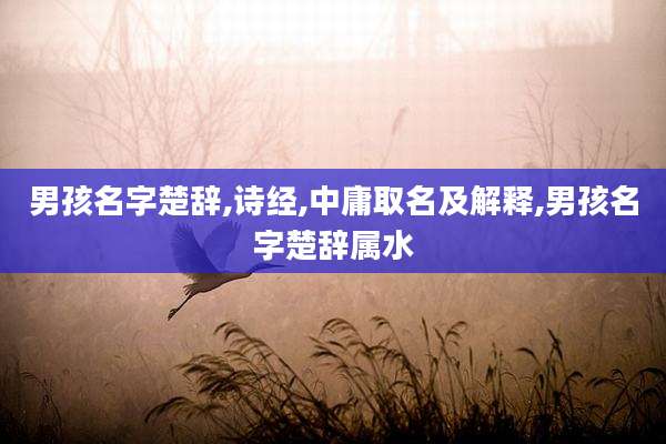 男孩名字楚辞,诗经,中庸取名及解释,男孩名字楚辞属水