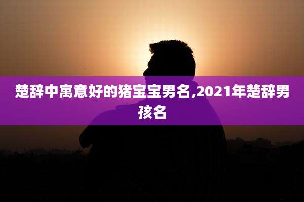 楚辞中寓意好的猪宝宝男名,2021年楚辞男孩名