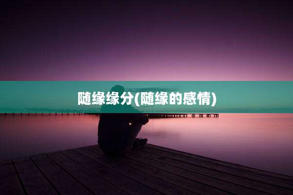随缘缘分(随缘的感情)