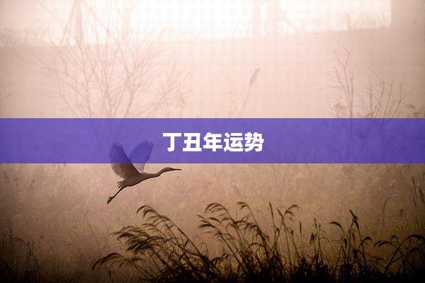 丁丑年运势
