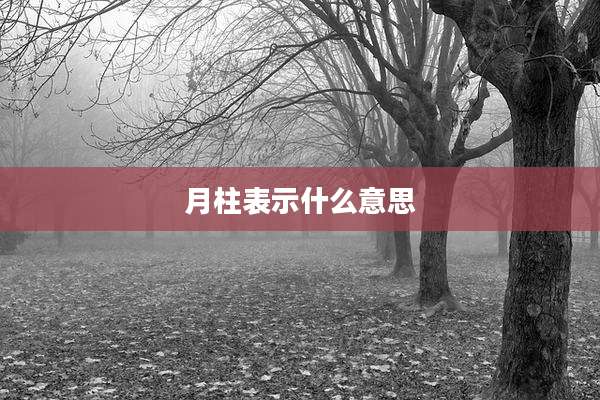 月柱表示什么意思