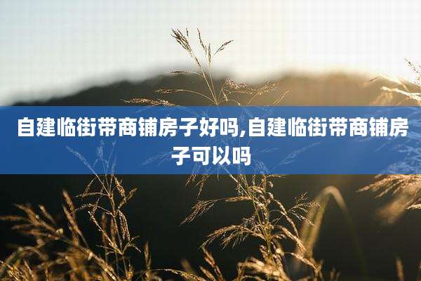 自建临街带商铺房子好吗,自建临街带商铺房子可以吗