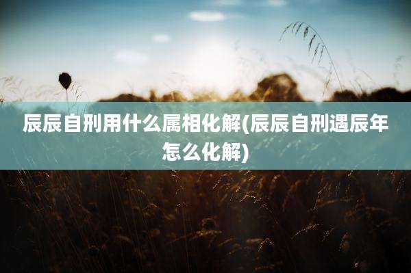 辰辰自刑用什么属相化解(辰辰自刑遇辰年怎么化解)