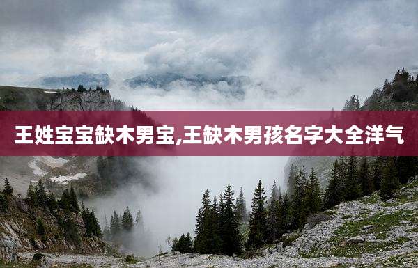 王姓宝宝缺木男宝,王缺木男孩名字大全洋气