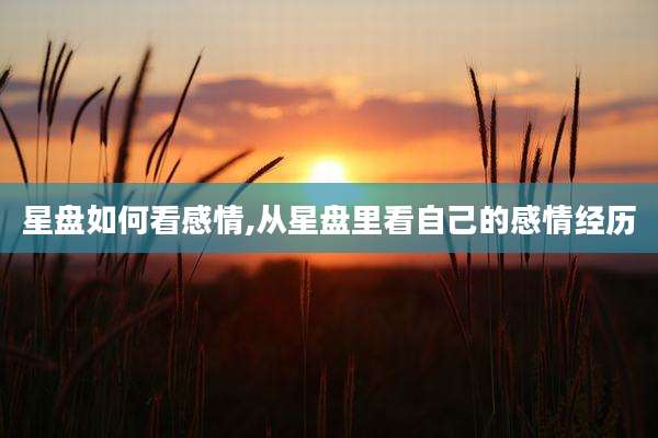 星盘如何看感情,从星盘里看自己的感情经历