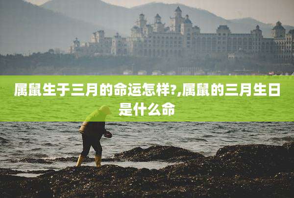 属鼠生于三月的命运怎样?,属鼠的三月生日是什么命