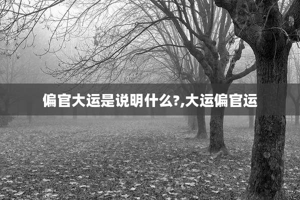 偏官大运是说明什么?,大运偏官运