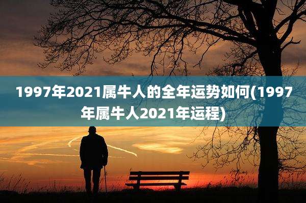 1997年2021属牛人的全年运势如何(1997年属牛人2021年运程)