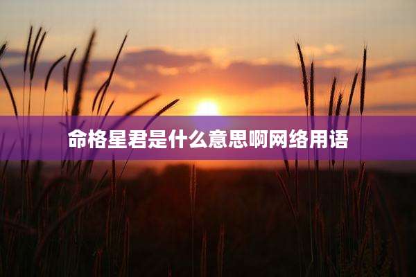 命格星君是什么意思啊网络用语