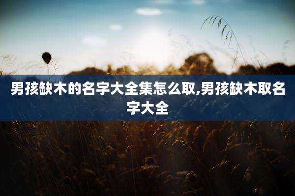 男孩缺木的名字大全集怎么取,男孩缺木取名字大全