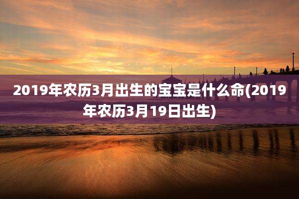 2019年农历3月出生的宝宝是什么命(2019年农历3月19日出生)