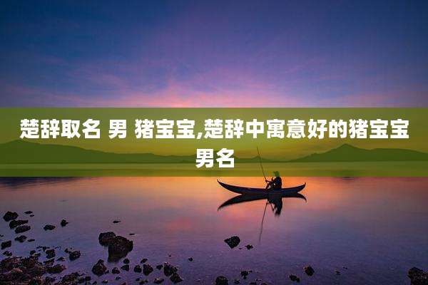 楚辞取名 男 猪宝宝,楚辞中寓意好的猪宝宝男名