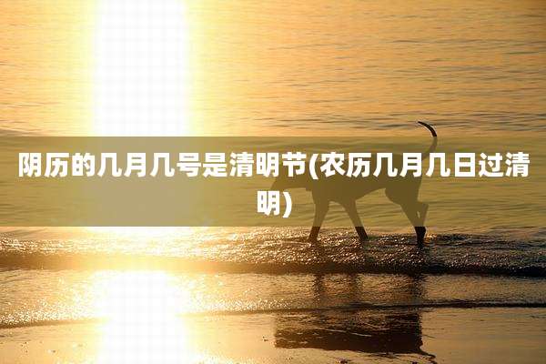 阴历的几月几号是清明节(农历几月几日过清明)