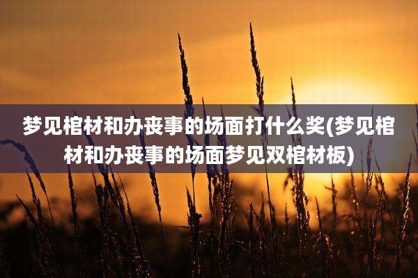 梦见棺材和办丧事的场面打什么奖(梦见棺材和办丧事的场面梦见双棺材板)