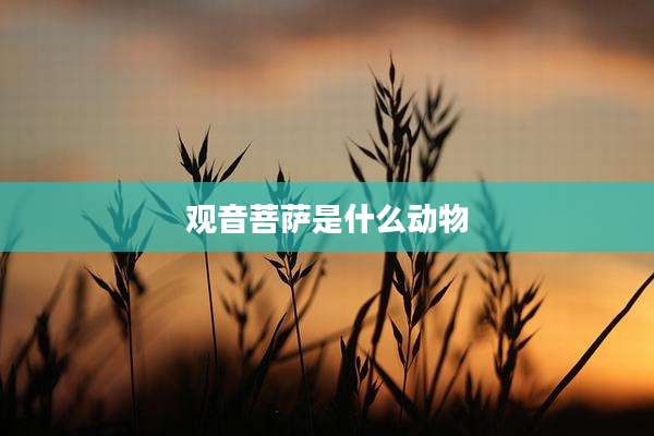 观音菩萨是什么动物