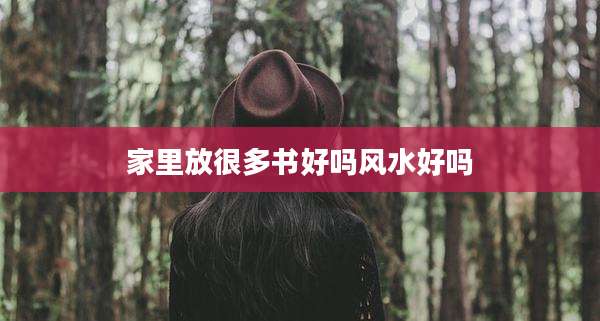 家里放很多书好吗风水好吗