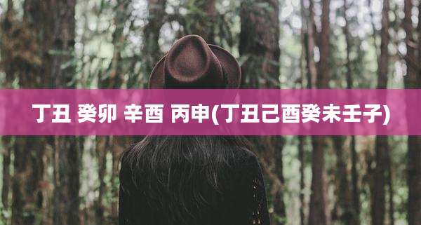 丁丑 癸卯 辛酉 丙申(丁丑己酉癸未壬子)