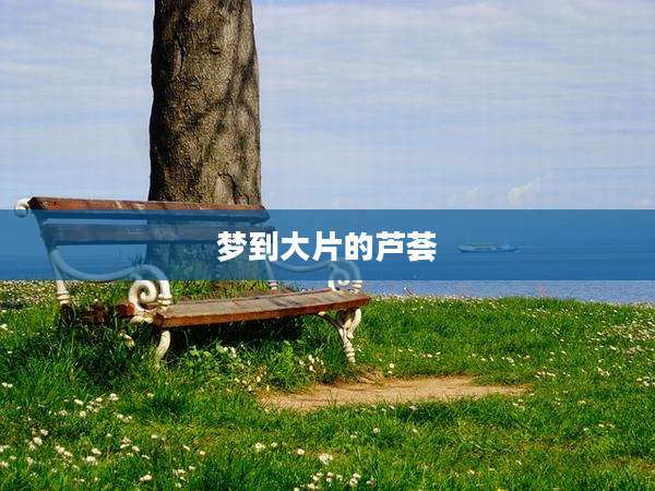 梦到大片的芦荟