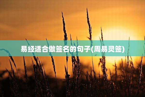 易经适合做签名的句子(周易灵签)