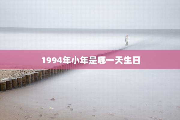1994年小年是哪一天生日