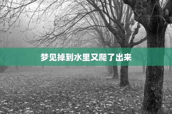 梦见掉到水里又爬了出来