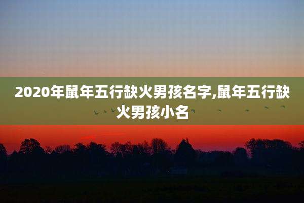 2020年鼠年五行缺火男孩名字,鼠年五行缺火男孩小名