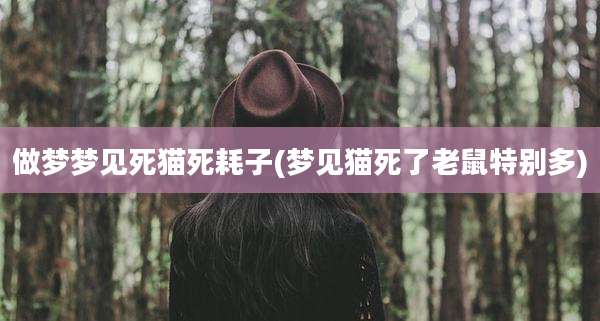 做梦梦见死猫死耗子(梦见猫死了老鼠特别多)