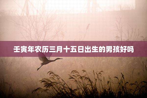 壬寅年农历三月十五日出生的男孩好吗