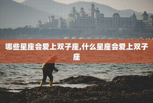 哪些星座会爱上双子座,什么星座会爱上双子座