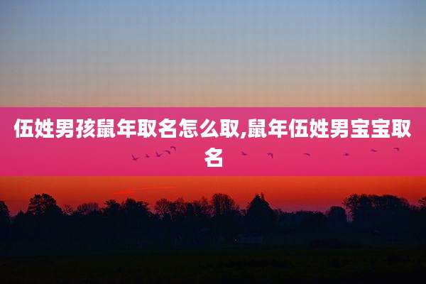 伍姓男孩鼠年取名怎么取,鼠年伍姓男宝宝取名