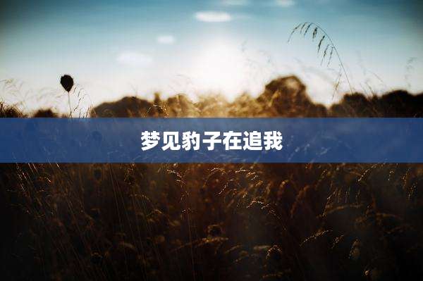 梦见豹子在追我