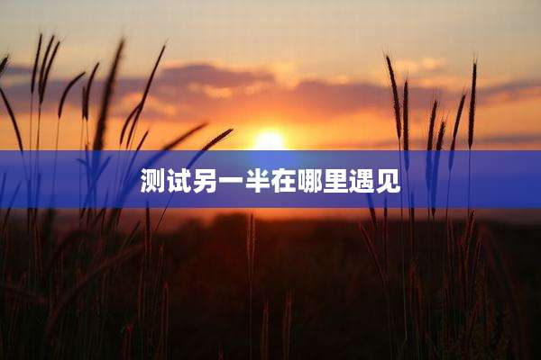 测试另一半在哪里遇见
