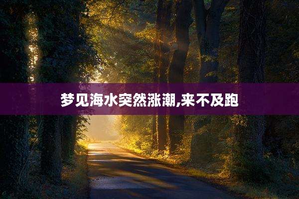 梦见海水突然涨潮,来不及跑