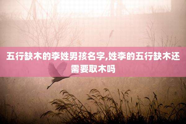 五行缺木的李姓男孩名字,姓李的五行缺木还需要取木吗