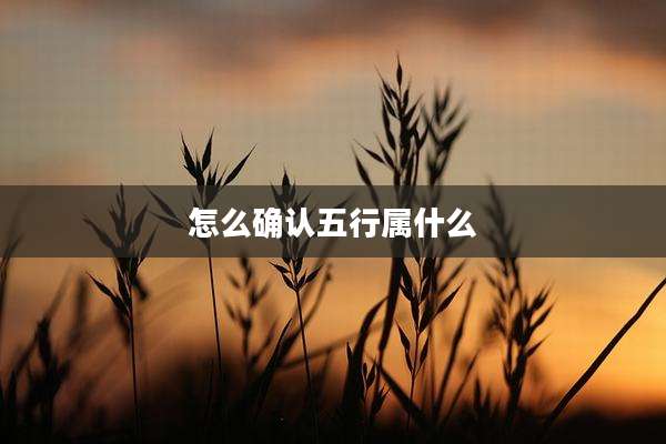 怎么确认五行属什么