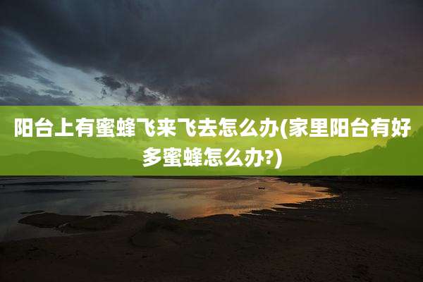 阳台上有蜜蜂飞来飞去怎么办(家里阳台有好多蜜蜂怎么办?)