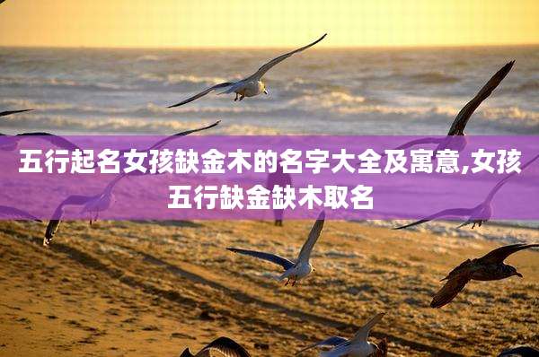 五行起名女孩缺金木的名字大全及寓意,女孩五行缺金缺木取名